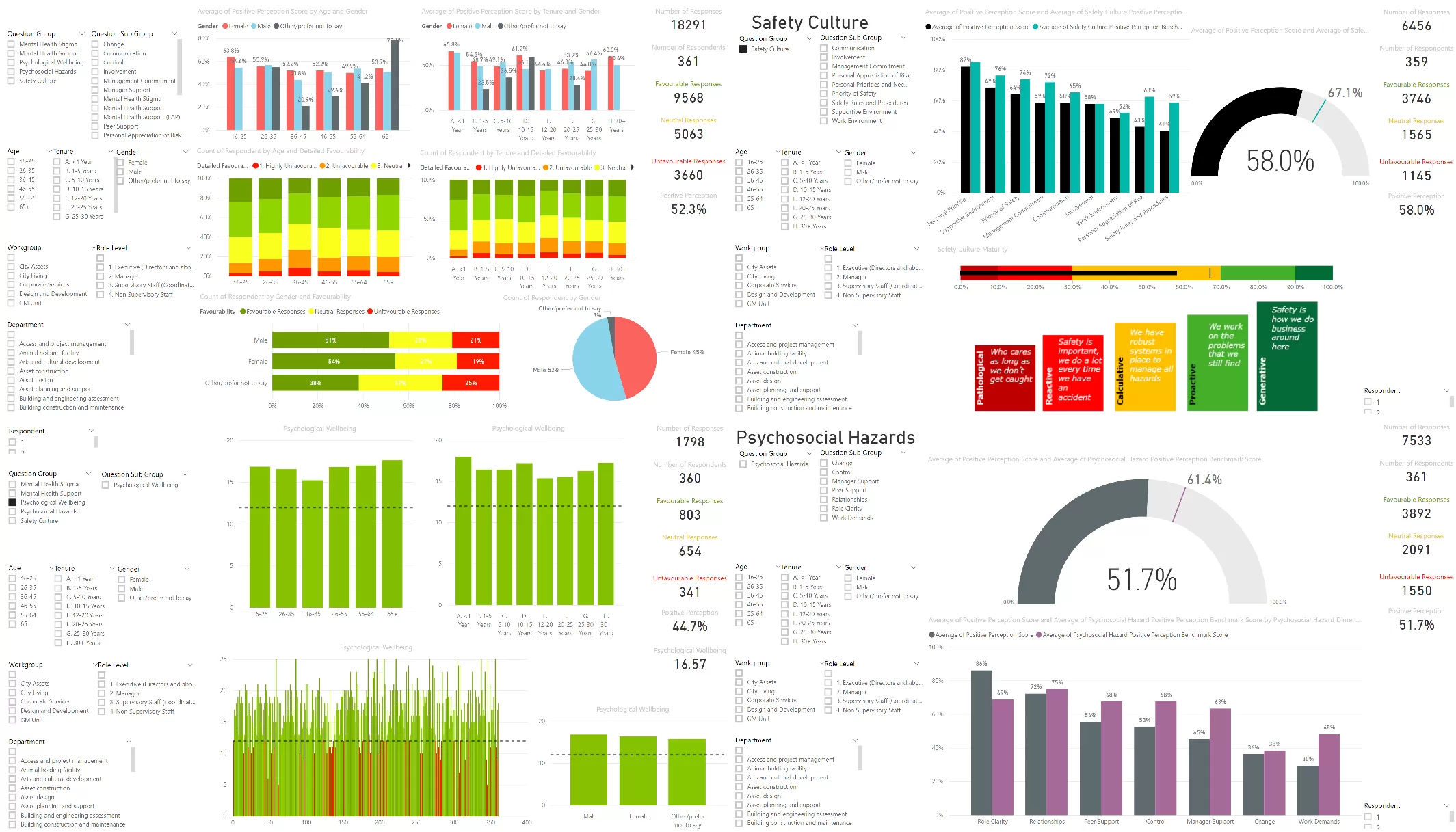 Risk and Safety Culture Surveys