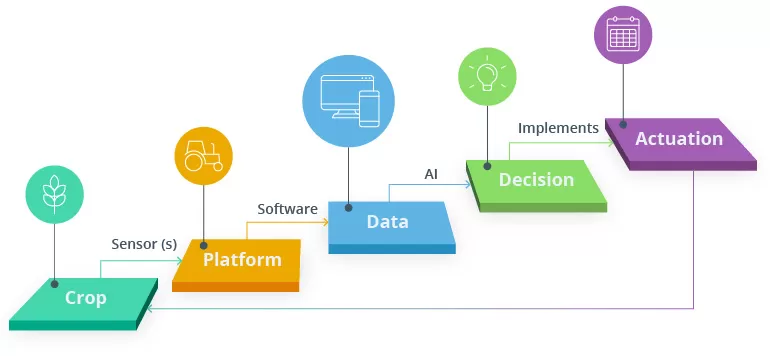 AI in Agribusiness